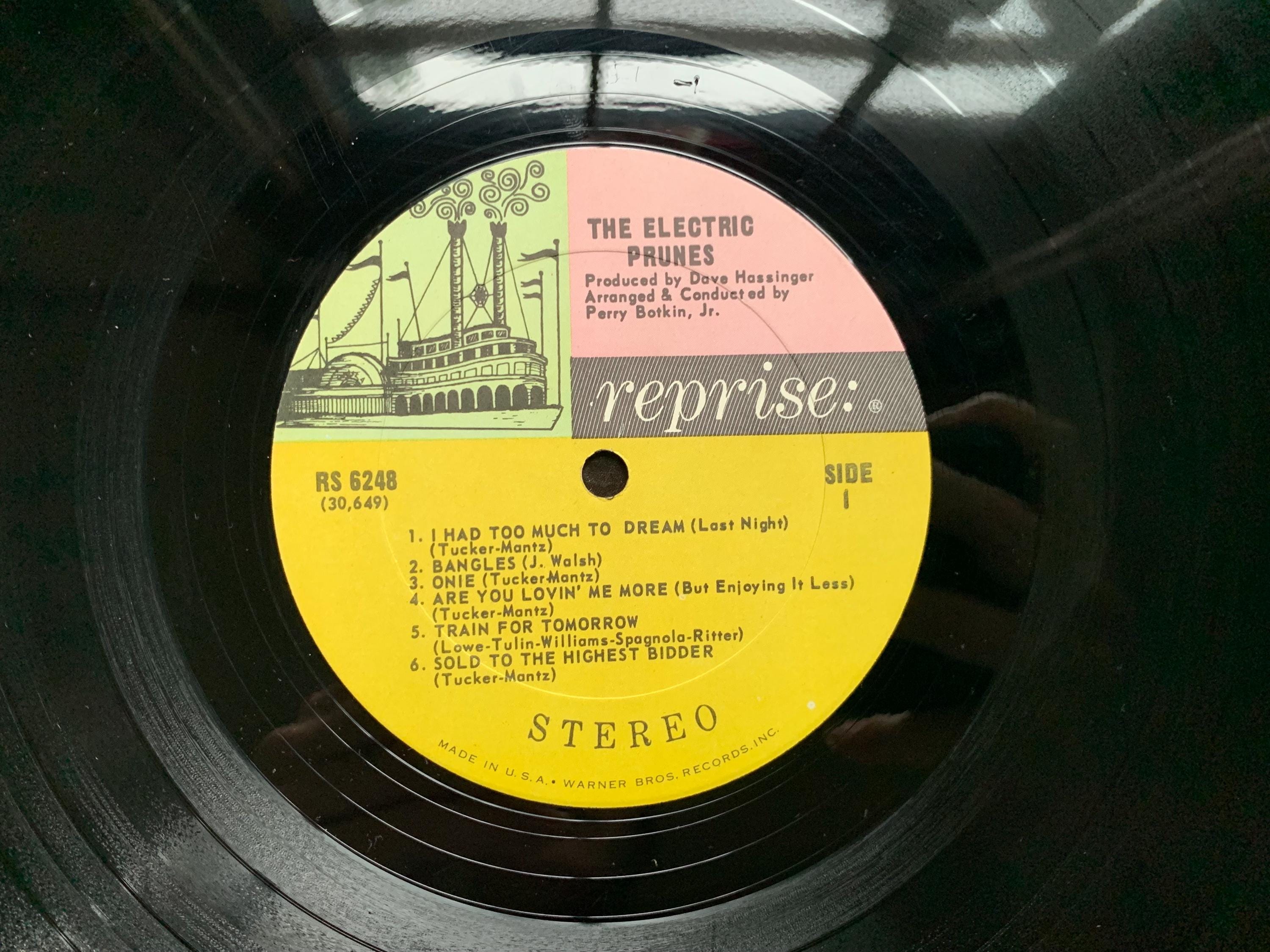 The Electric Prunes the Electric Prunes Self Titled Record, 1967