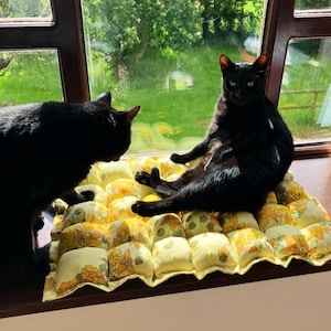 Vintage Fabric Cat Bed- 22.5in x 16.5in