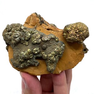 May include: A mineral specimen featuring clusters of metallic gold-colored pyrite crystals embedded on a flat, tan-colored sedimentary rock base. The pyrite formations exhibit a cubic, textured surface with a reflective, brassy luster.