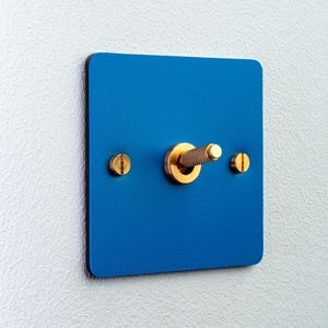 May include: A square blue light switch plate featuring a central brass toggle switch with a textured knurled grip. The plate is secured by two flat-head brass screws positioned on the left and right sides of the central toggle mechanism.