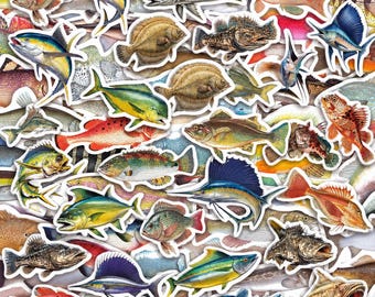 50pcs Freshwater Fish Sticker Pack, Realistic Bass Trout Aquarium Stickers, Fishing Vinyl Decals for Laptop Water Bottle Tackle Box