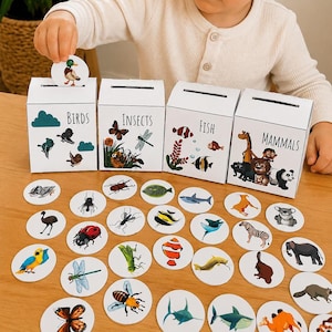 Animal Sorting Activity Printable, Animal Classification Game, Sort Mammals Birds Fish Insects, Preschool Learning PDF