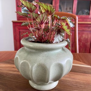 Vintage Mid-Century Haeger Pottery FTD Planter