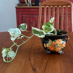 Vintage zwarte messing plantenpot met aangebrachte bloemversiering