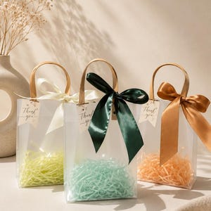 Ivory Wedding Favor Bags with Ribbon Handles, Transparent Gift Bags, Bridal Shower Favor Packaging, Elegant Wedding Welcome Bags