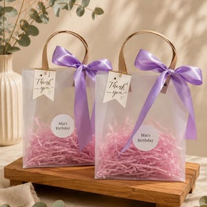Ivory Wedding Favor Bags with Ribbon Handles, Transparent Gift Bags, Bridal Shower Favor Packaging, Elegant Wedding Welcome Bags
