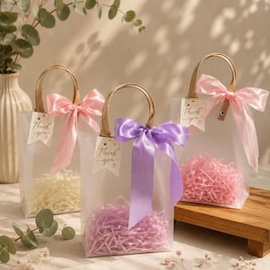 Ivory Wedding Favor Bags with Ribbon Handles, Transparent Gift Bags, Bridal Shower Favor Packaging, Elegant Wedding Welcome Bags