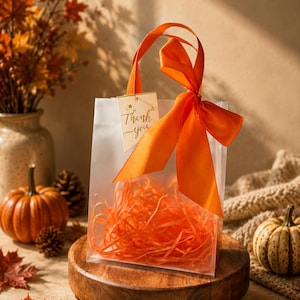 Fall Gift Bags with Orange Bow, Thanksgiving Favor Bags, Autumn Gift Bags, Fall Party Favors, Thank You Bags, Clear Gift Bags