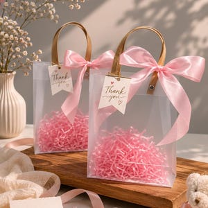 Ivory Wedding Favor Bags with Ribbon Handles, Transparent Gift Bags, Bridal Shower Favor Packaging, Elegant Wedding Welcome Bags
