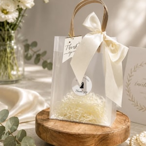 Ivory Wedding Favor Bags with Ribbon Handles, Transparent Gift Bags, Bridal Shower Favor Packaging, Elegant Wedding Welcome Bags