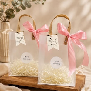 Ivory Wedding Favor Bags with Ribbon Handles, Transparent Gift Bags, Bridal Shower Favor Packaging, Elegant Wedding Welcome Bags
