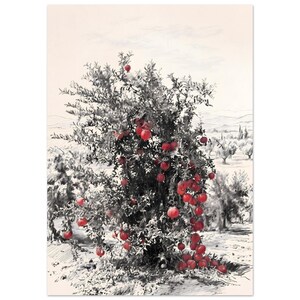 Könnte beinhalten: Eine schwarz-weiße Tuschezeichnung eines Granatapfelbaums in einem Obstgarten mit zahlreichen leuchtend roten Granatäpfeln an den Zweigen. Der Hintergrund zeigt eine Landschaft mit weiteren Bäumen und Hügeln im Skizzenstil.