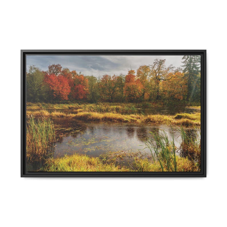 Autumn Pond Landscape, Framed