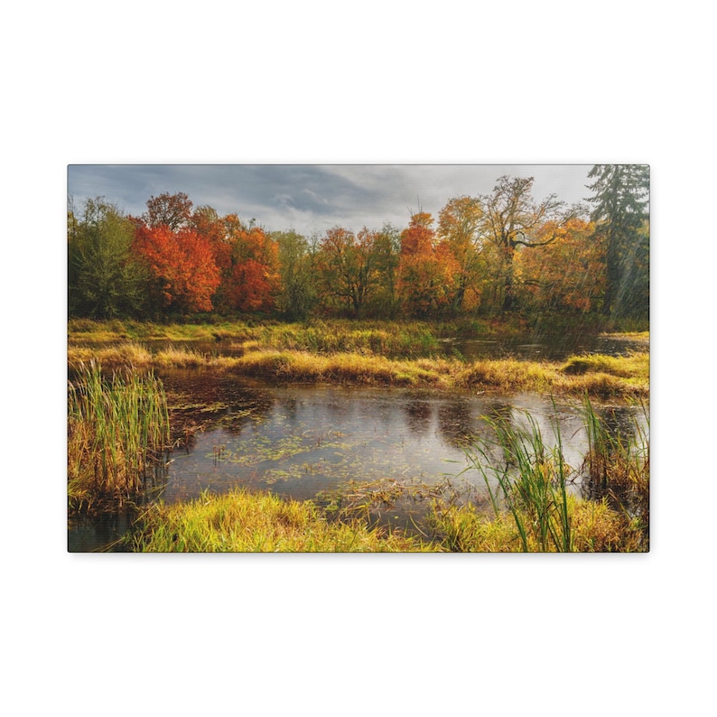 Autumn Pond Landscape