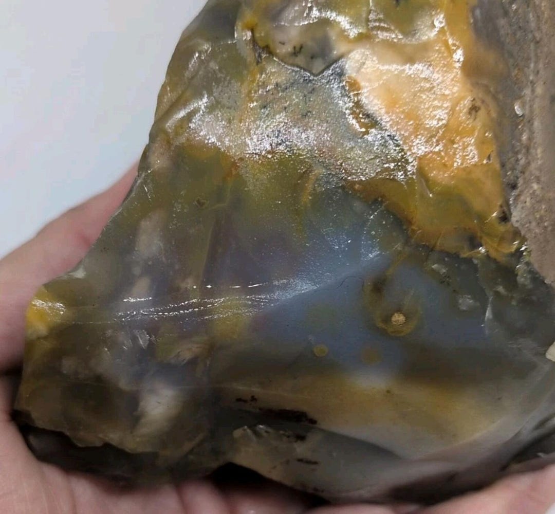 Polka Dot Agate Rough Rock, Ashwood, Oregon, 1 Lb 11+ Oz (790 Gr), Lot ...