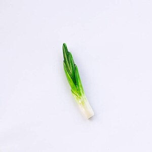 Green onion brooch, vegetables vegetarian veggie jewelry, vegan pin, mother's day gift for mom image 4