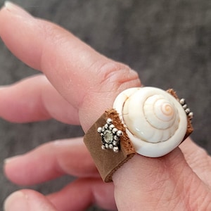 May include: A brown leather ring with a white seashell and silver star-shaped accents.
