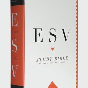 May include: A hardcover ESV Study Bible with a white cover featuring black text that reads ESV STUDY BIBLE ENGLISH STANDARD VERSION and orange geometric triangles. The spine is orange with black accents and the text ESV STUDY BIBLE.
