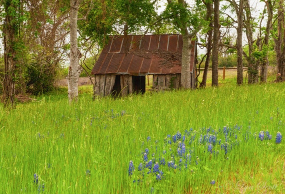 Rustic Barns and Open Fields