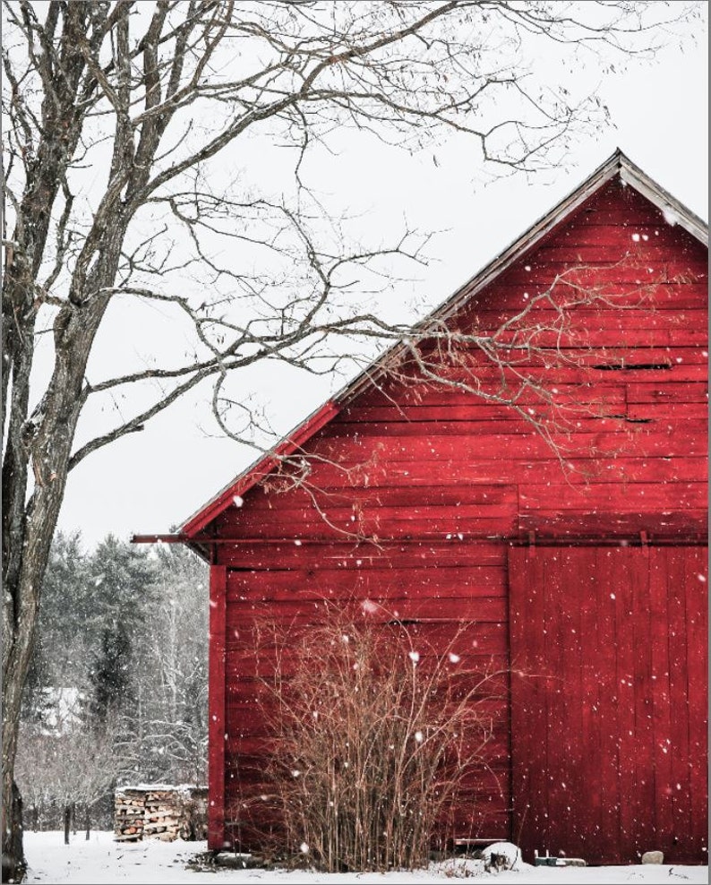 The Snowy Red Barn Christmas scenery , winter , snow photography, landscape, nature, old barn, fine art print image 1