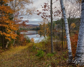 A Pond Up North -  Nature photography, landscape, fall, New Hampshire, fine art print, home decor, wall art, New England photography