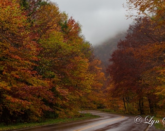 Vermont Color -  Nature photography, landscape photography, fall, autumn, fine art print, leaves, new england, Vermont