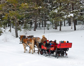 Christmas Scene, Two Horse Open Sleigh, Fine Art Print, Landscape, sleigh, horses, snow, winter, wall art, mountains, New England
