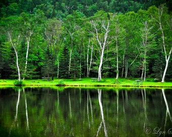 Reflections -  Nature photography, landscape photography, spring, pond, lake, fine art print, trees, new england