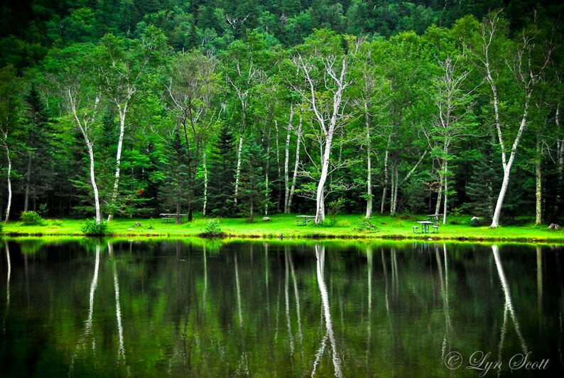 Reflections Nature photography, landscape photography, spring, pond, lake, fine art print, trees, new england image 1