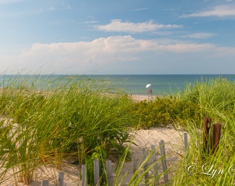 Massachusetts Cape Cod -  Home decor, Nature photography, landscape photography, beach, summer, cape cod,fine art, wall art, new england