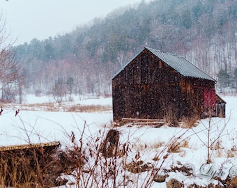 May include: A weathered wooden barn with a red door stands in a snowy field. The barn is surrounded by trees and the ground is covered in snow. The sky is overcast and it is snowing.