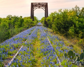 Texas Train Bridge, Wildflowers, Landscape photography, Texas, Hill Country ,Western, flowers, bluebonnets, fine art print