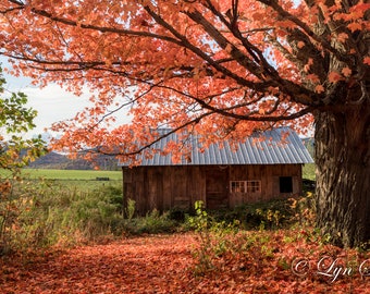 The New Hampshire Sugar Shack-  Nature photography, landscape, fall, wall art, fine art print, home decor, New England photography