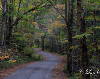 Magical Journey -  Nature photography, landscape, fall, New Hampshire, fine art, wall art, home decor, wall hanging, New England photography