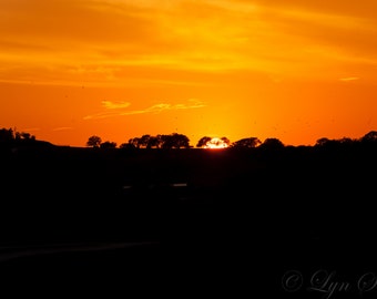 Sunset, Landscape photography, Texas, Hill Country, Texas sunset, Western, sky, fine art print, wall art, rustic art, home decor