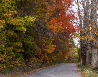 The Road Less Traveled -  Nature photography, landscape, fall, New Hampshire, fine art print, home decor, New England photography