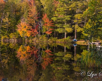 New Hampshire Pond -  Nature photography, landscape photography, fall, autumn, fine art print, leaves, new england, Pond, Lake, wall art