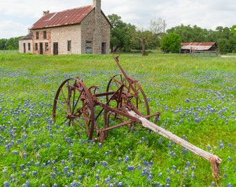 Vertical - Texas House Austin- Nature photography, Art, western,  landscape, home decor, cabin decor, fine art print, wall print, wall art