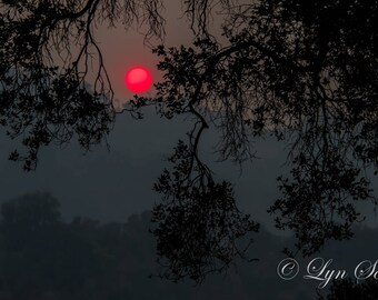 California Red Sun and Fire -  Nature, landscape, wall art, winter, forest, fire, fine art, Ojai, art, woods, rustic, home decor, California