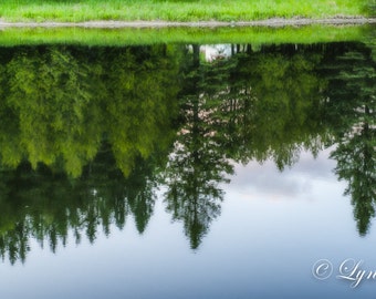 Reflections of New Hampshire -  Nature, photography, landscape, photography, art, summer, fine art, lake, woods, trees, new england