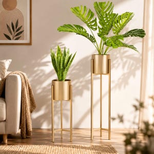 Op de afbeelding: Twee cilindrische plantenstandaards van goudkleurig metaal in verschillende hoogtes, elk met een potplant. De kortere standaard bevat een groene sansevieria, terwijl de hogere standaard een grote, groene monstera met ingesneden bladeren bevat.