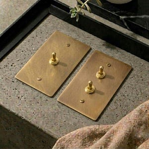 Peut inclure: Deux plaques d'interrupteur rectangulaires en laiton avec une finition brossée. Une plaque comporte un interrupteur à bascule central unique, tandis que l'autre plaque contient deux interrupteurs à bascule verticaux. Fixées par deux vis en laiton.
