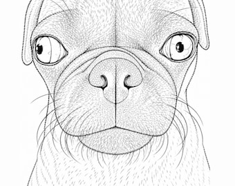 Pagina da colorare di Peanut il carlino / Disegno da colorare di un cane stampabile / Download immediato in PDF / Pagina da colorare di un cucciolo carino