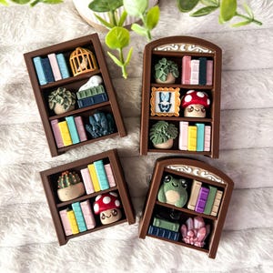 May include: Four miniature brown bookshelves filled with tiny books, potted plants, crystals, a birdcage, a framed butterfly, a red mushroom, and a green frog figurine. Each shelf unit features three levels of colourful, detailed decorative items.
