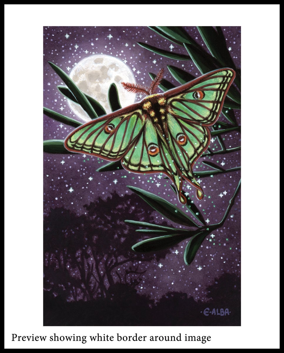 Luna Moon Moth Illustration 8x10 Inch Print - Etsy