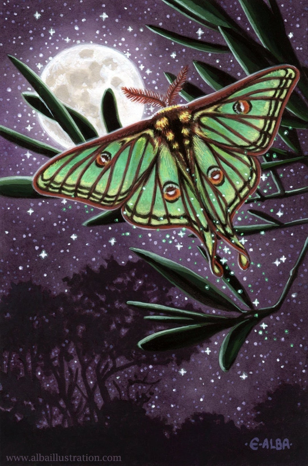 Luna Moon Moth Illustration 8x10 Inch Print - Etsy