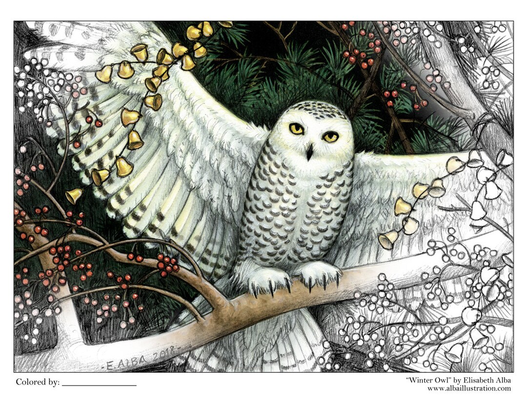 Coloring Book Page Printable PDF Download Winter Snowy Owl - Etsy