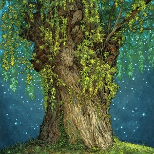 Once Upon a Tree - Enchanted Willow Illustration 8x10 inch print