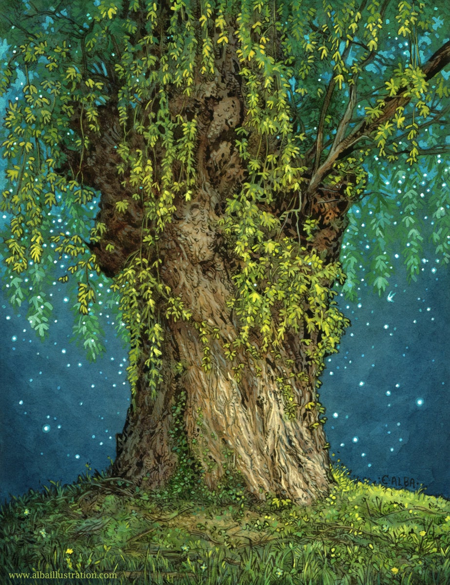 Once Upon a Tree - Enchanted Willow Illustration 8x10 or 11x14