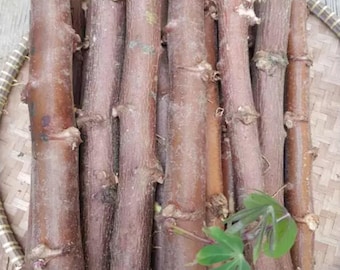 Żywe sadzonki manioku do sadzenia | Świeże łodygi juki, Manihot Esculenta Garden Starter